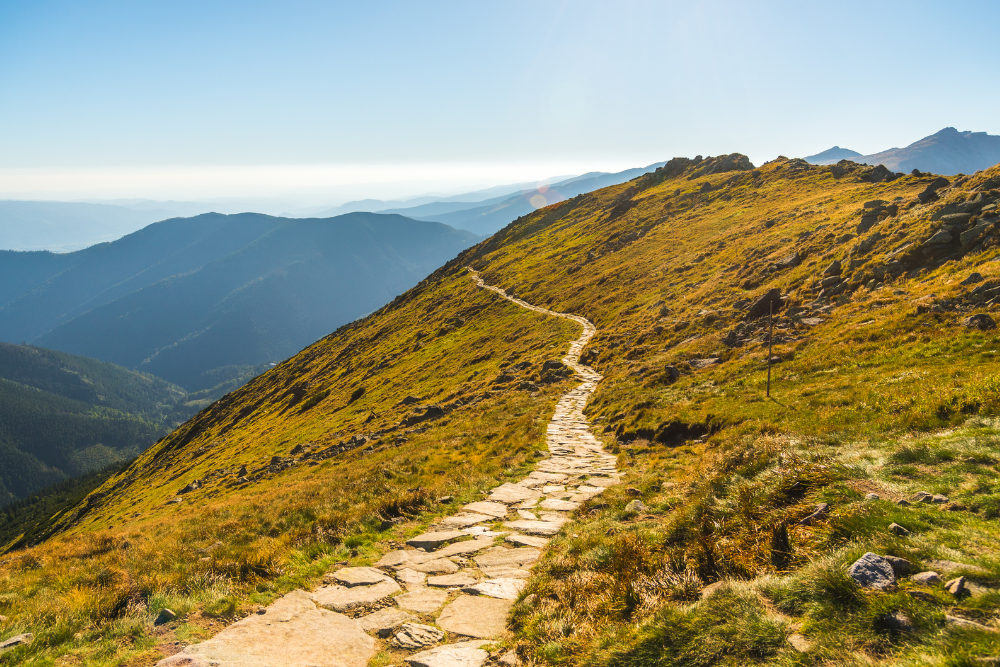 Wander-Coaching<br>Gehe die nächsten Schritte deines Karriereweges